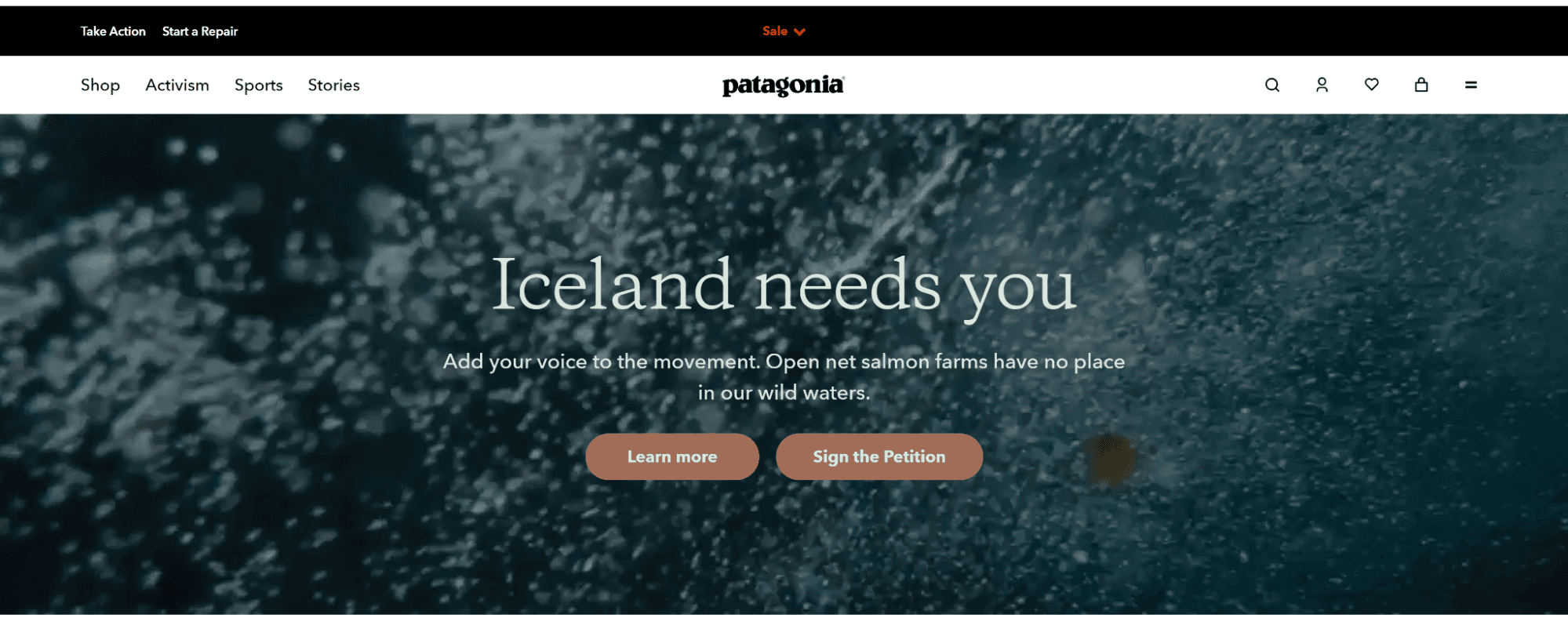 Patagonia's European-based home page